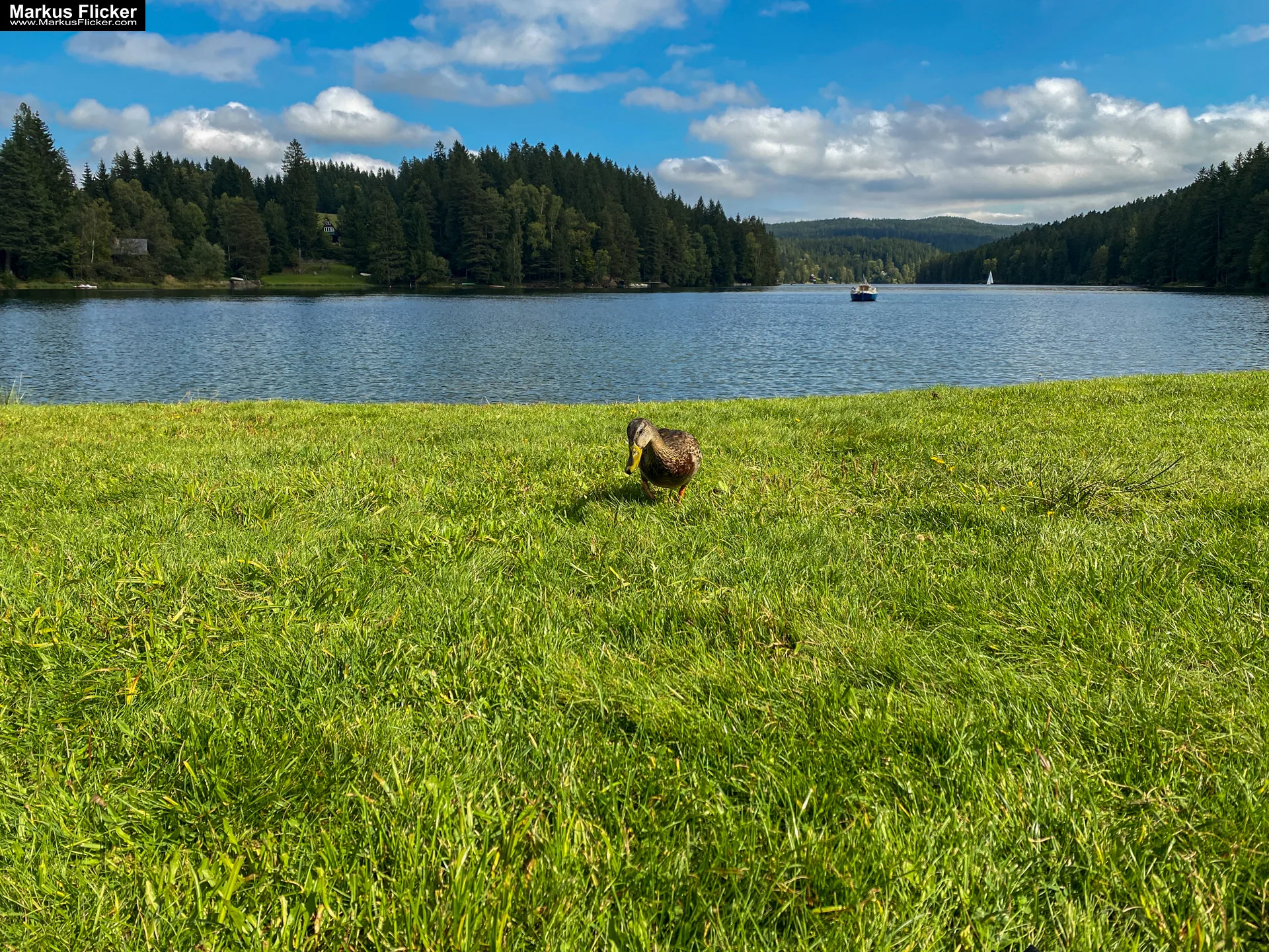 Packer Stausee in der Gemeinde Hirschegg-Pack Bezirk Voitsberg in der Steiermark
