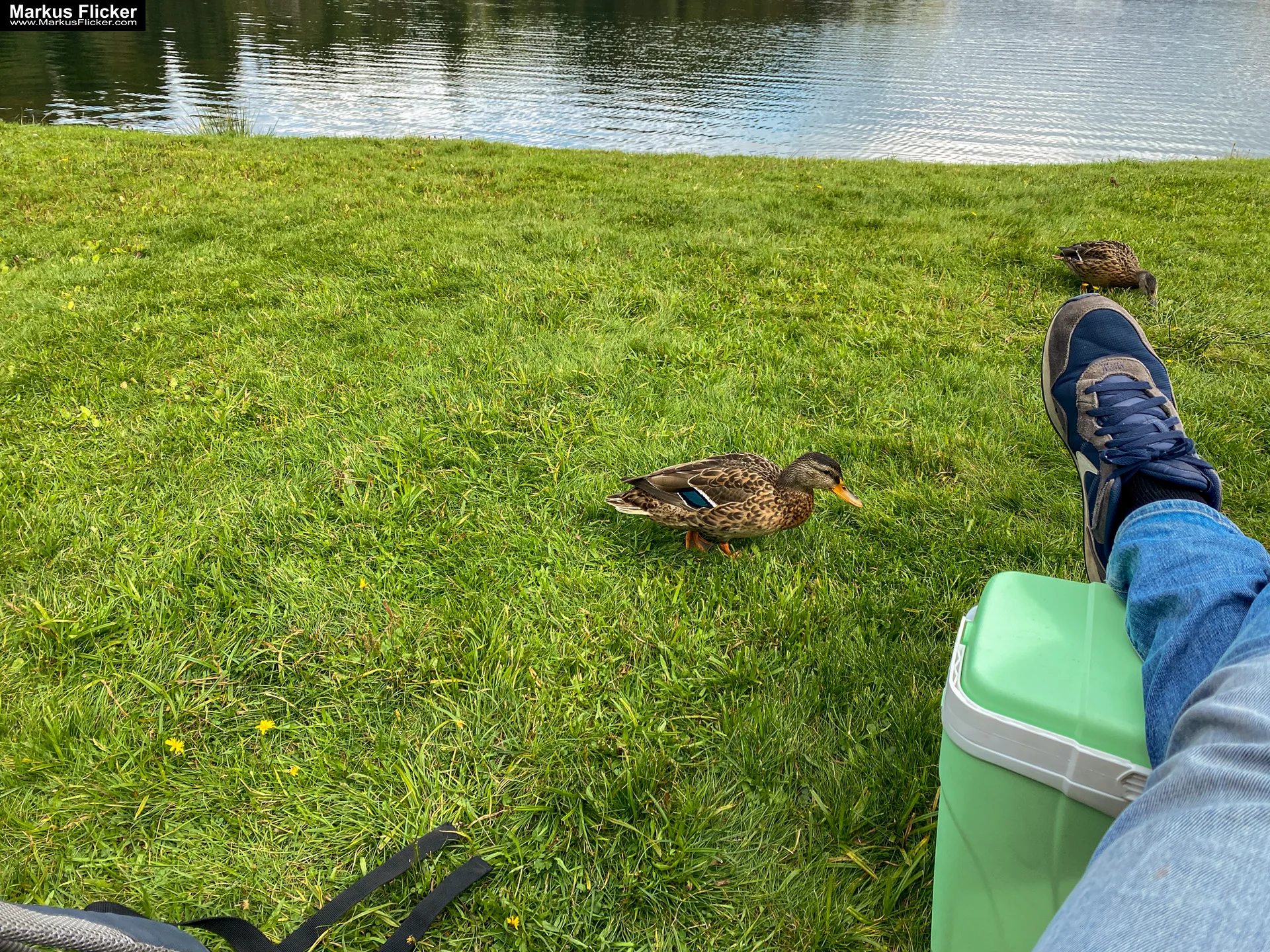Packer Stausee in der Gemeinde Hirschegg-Pack Bezirk Voitsberg in der Steiermark