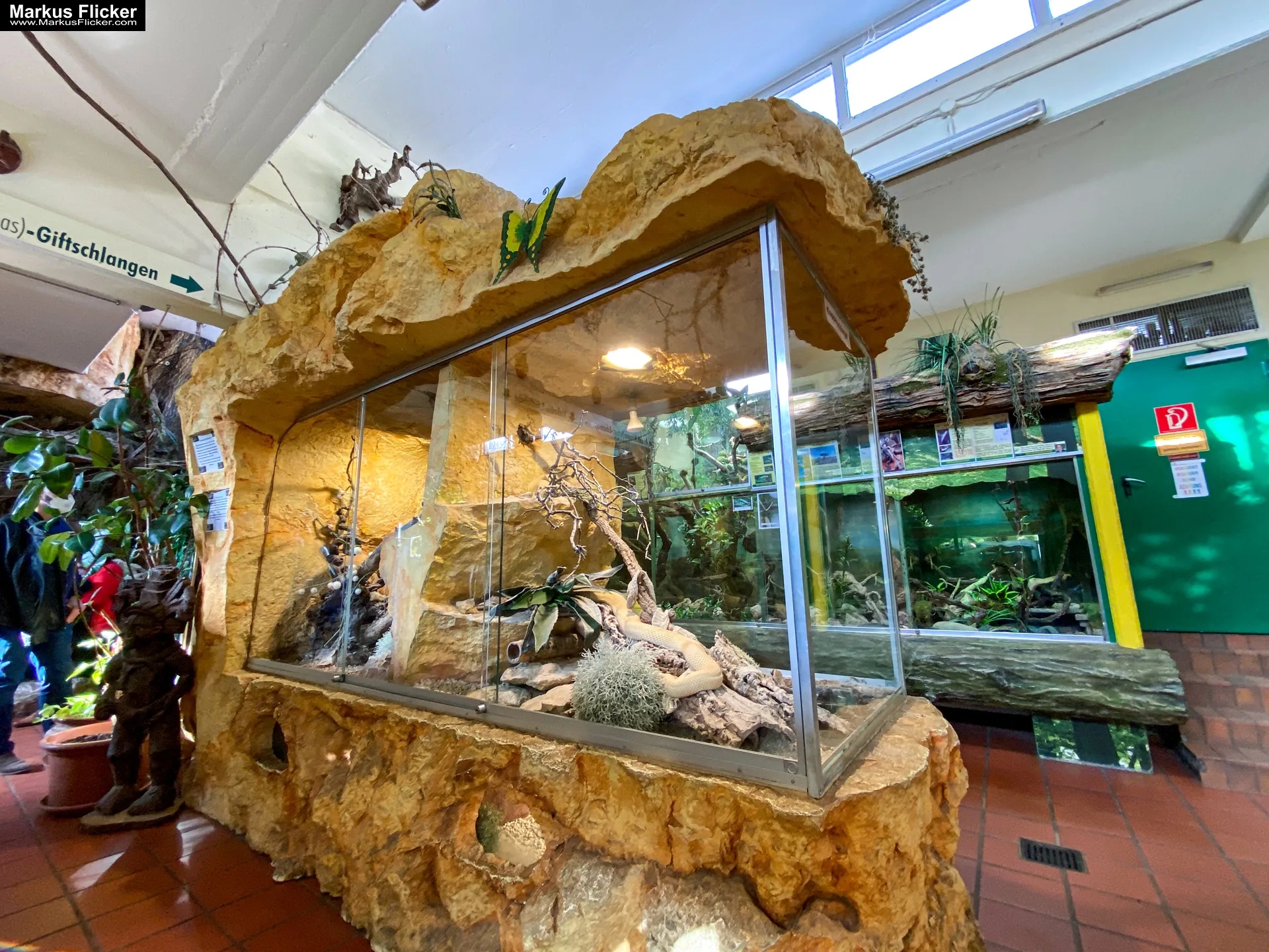 Reptilienzoo Happ in Klagenfurt am Wörthersee in Kärnten