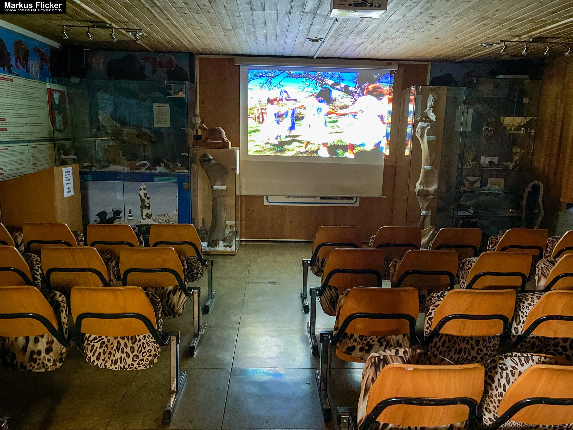 Reptilienzoo Happ in Klagenfurt am Wörthersee in Kärnten