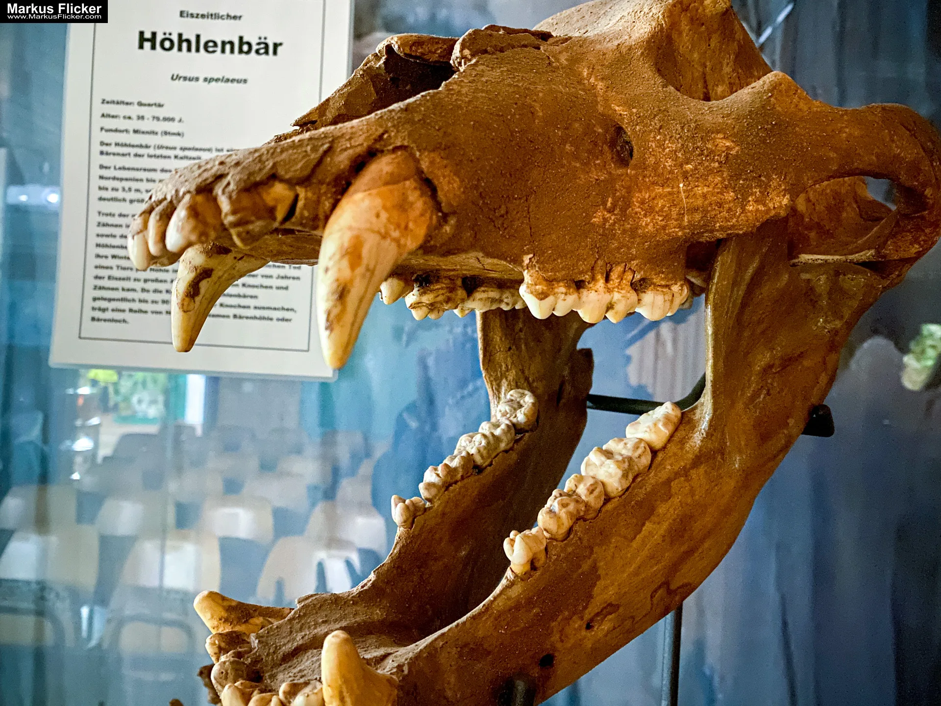 Reptilienzoo Happ & Sauriergarten in Klagenfurt am Wörthersee in Kärnten #visitaustria