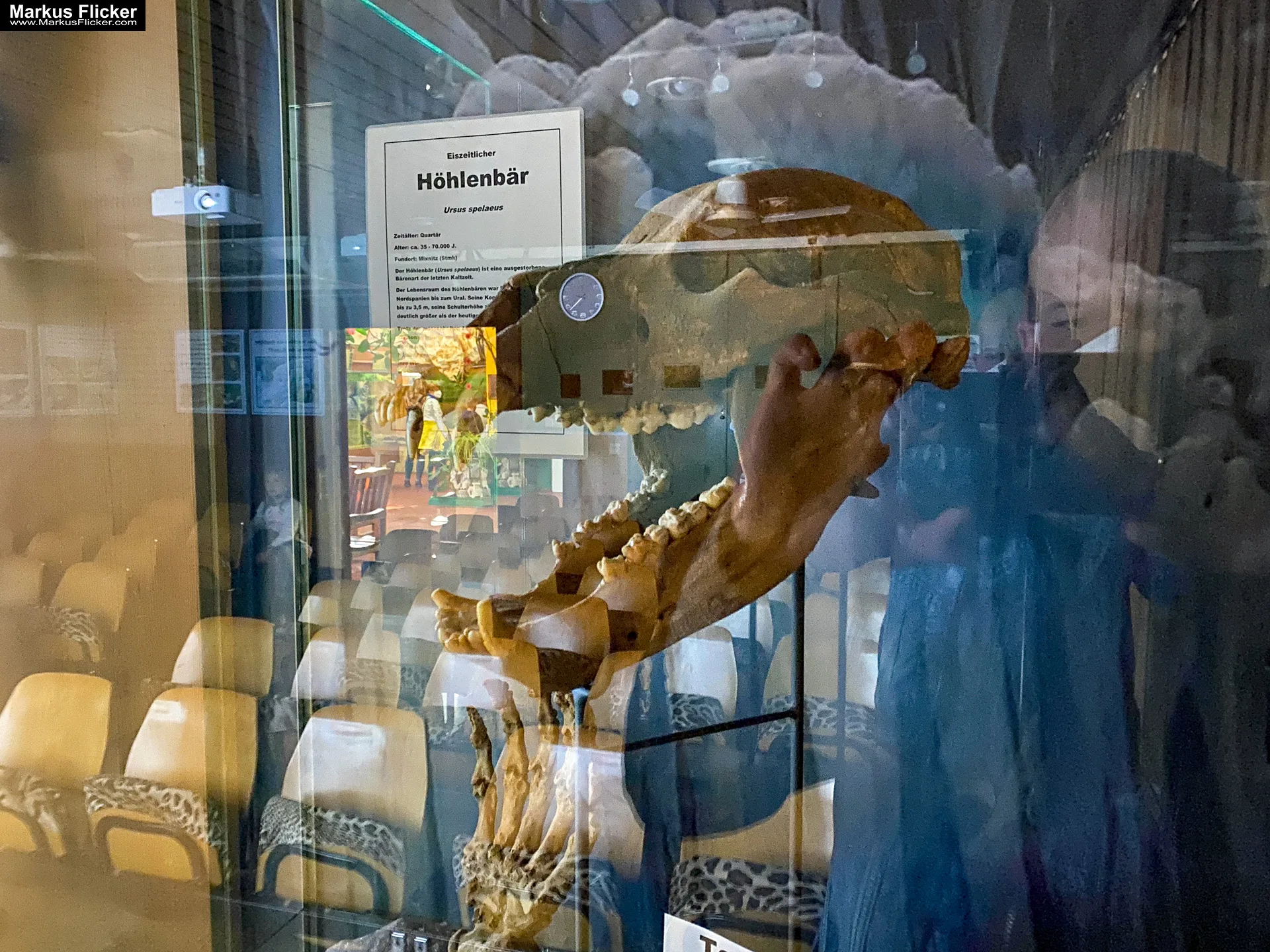 Reptilienzoo Happ in Klagenfurt am Wörthersee in Kärnten