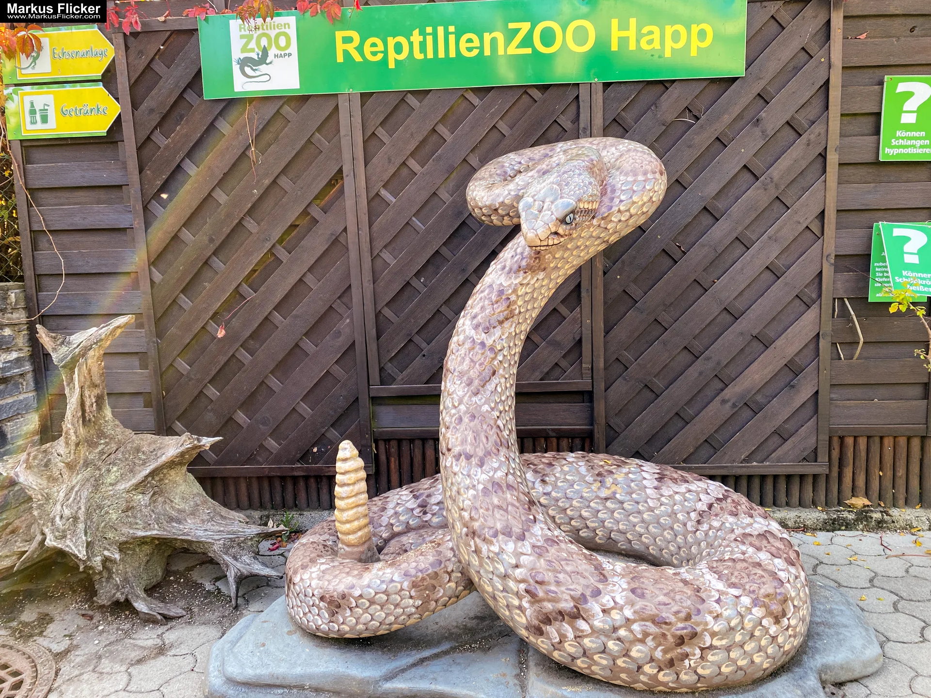 Reptilienzoo Happ & Sauriergarten in Klagenfurt am Wörthersee in Kärnten #visitaustria