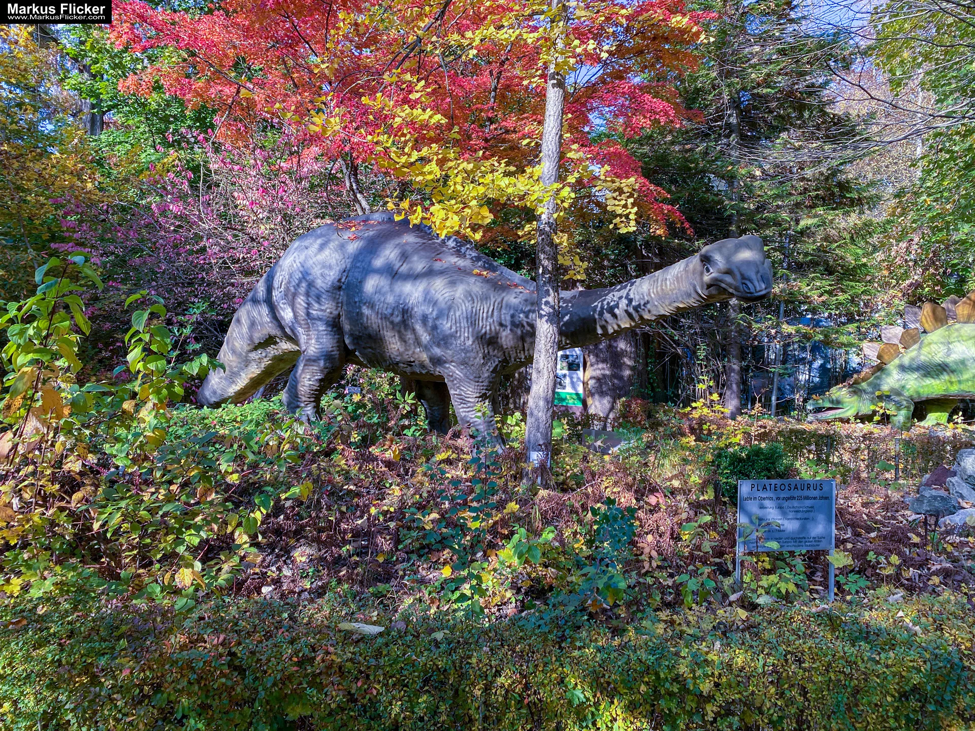 Reptilienzoo Happ in Klagenfurt am Wörthersee in Kärnten