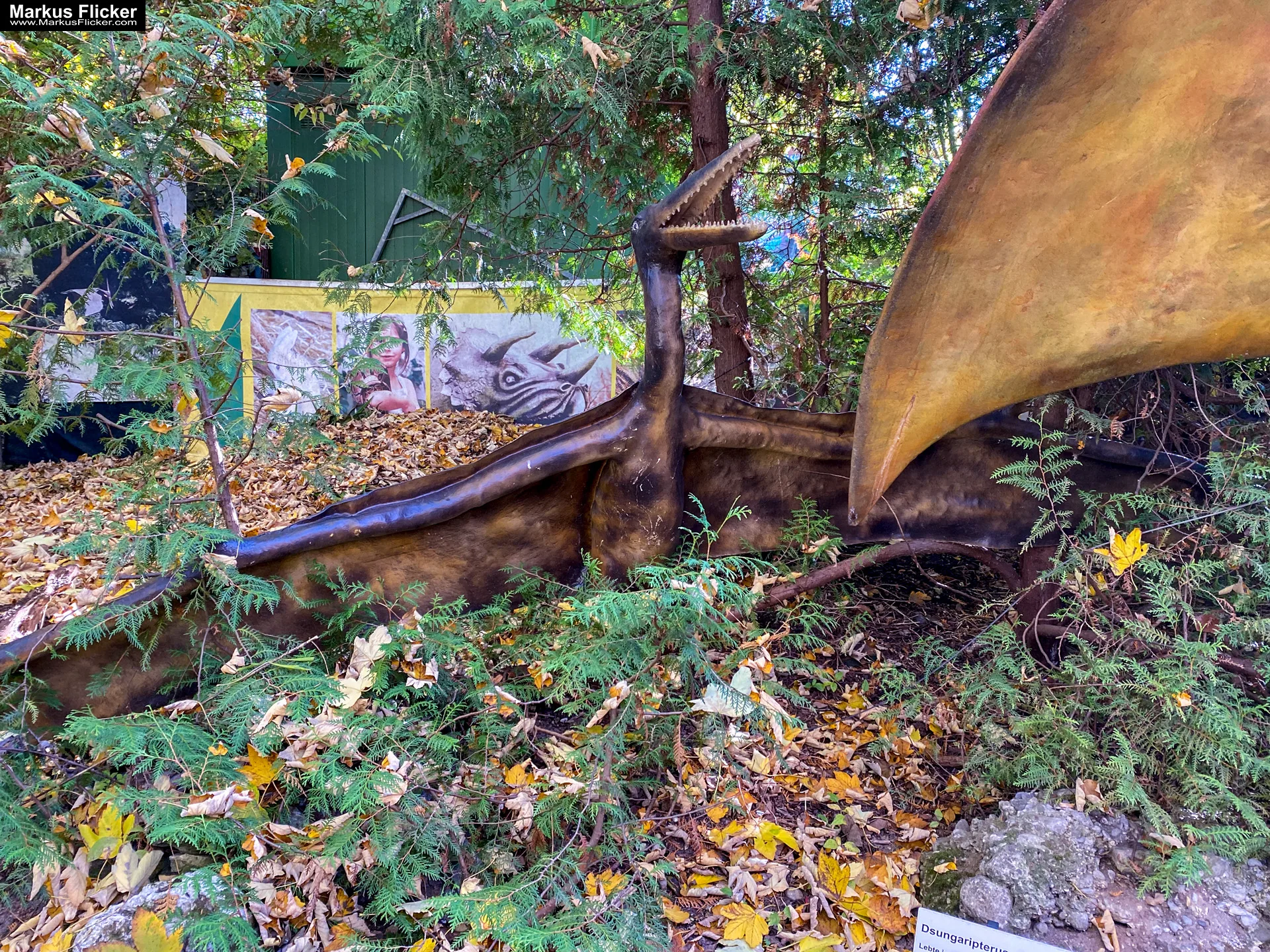 Reptilienzoo Happ in Klagenfurt am Wörthersee in Kärnten