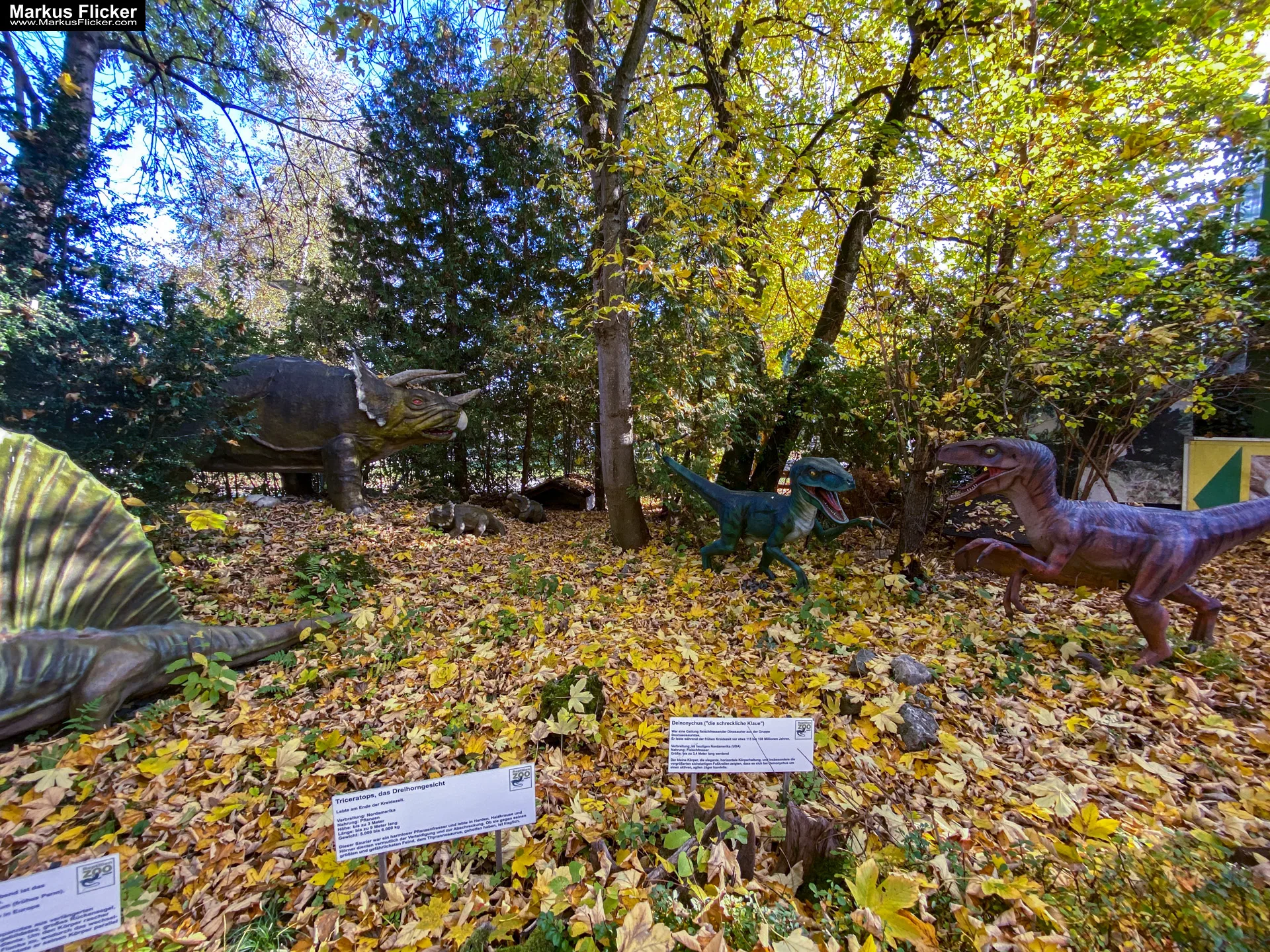 Reptilienzoo Happ in Klagenfurt am Wörthersee in Kärnten