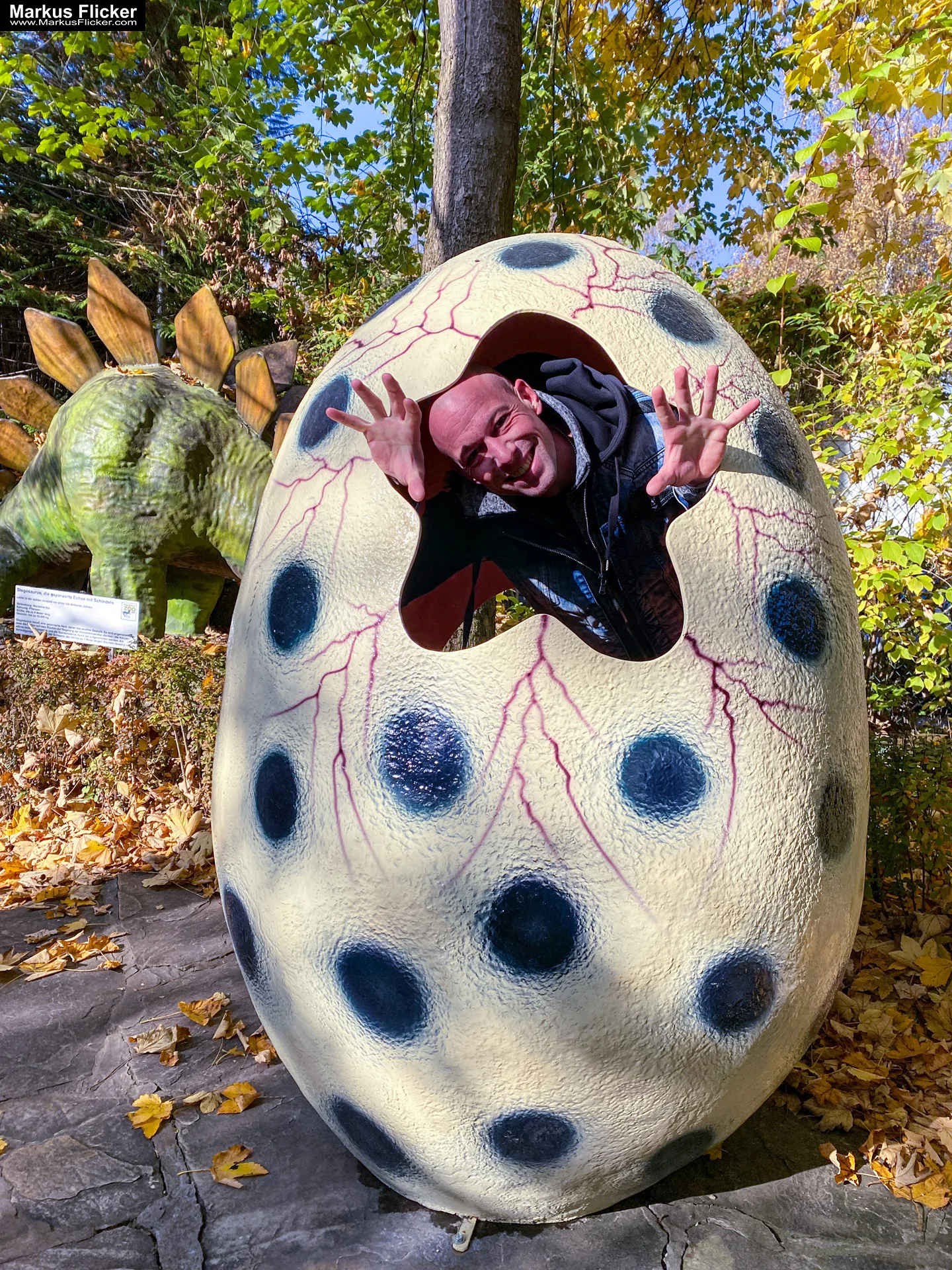 Reptilienzoo Happ & Sauriergarten in Klagenfurt am Wörthersee in Kärnten #visitaustria