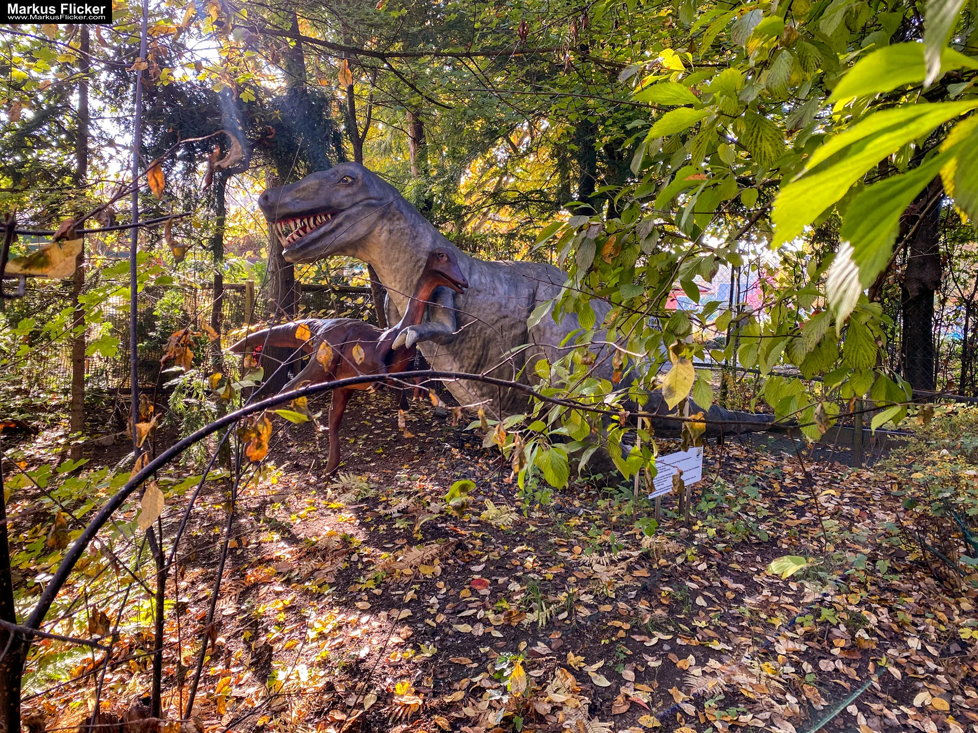 Reptilienzoo Happ in Klagenfurt am Wörthersee in Kärnten
