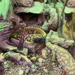 Reptilienzoo Happ in Klagenfurt am Wörthersee in Kärnten