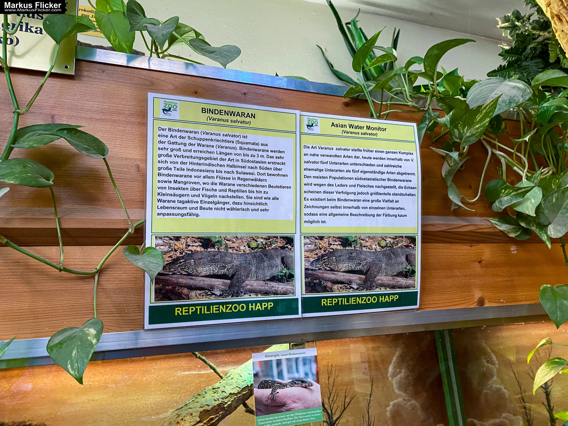 Reptilienzoo Happ in Klagenfurt am Wörthersee in Kärnten