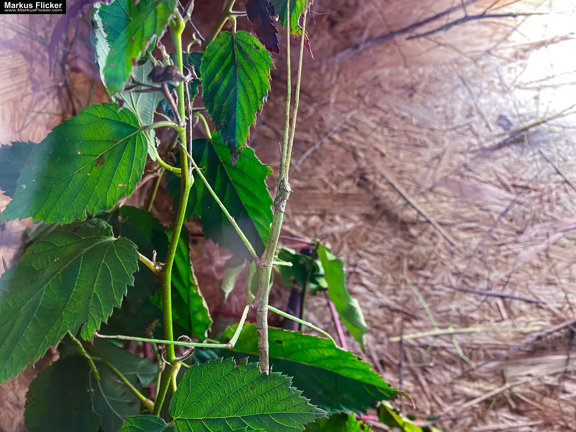 Reptilienzoo Happ in Klagenfurt am Wörthersee in Kärnten