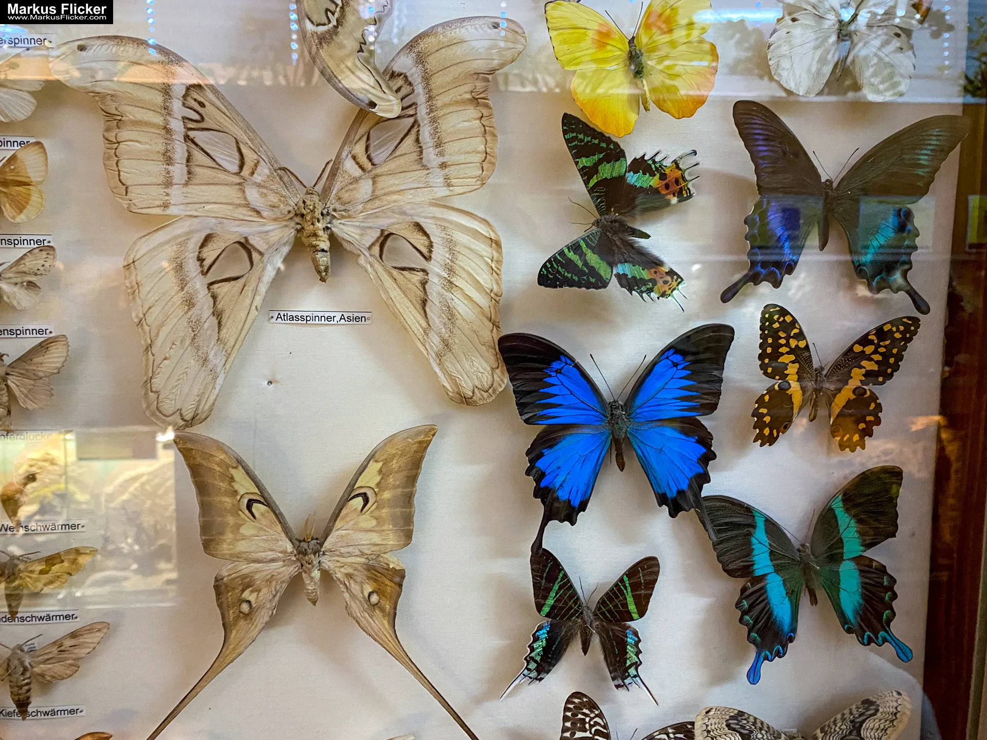 Reptilienzoo Happ in Klagenfurt am Wörthersee in Kärnten