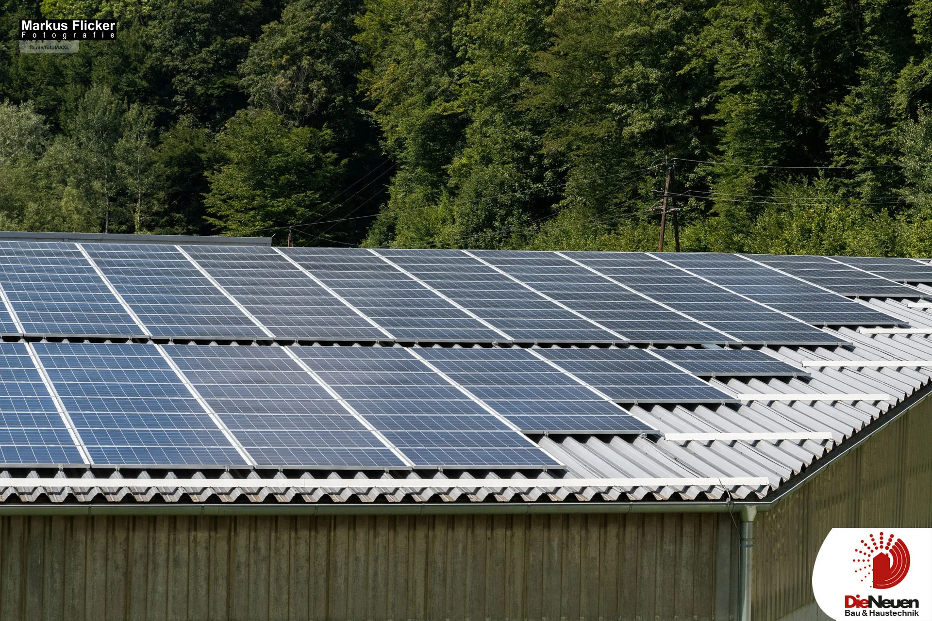 Feedback Referenzen Kundenstimmen Fotograf Videograf Gleisdorf Graz Content Creator Autor Steiermark Österreich Fotografie Video Workshops Reisen Blog Podcast https://MarkusFlicker.com