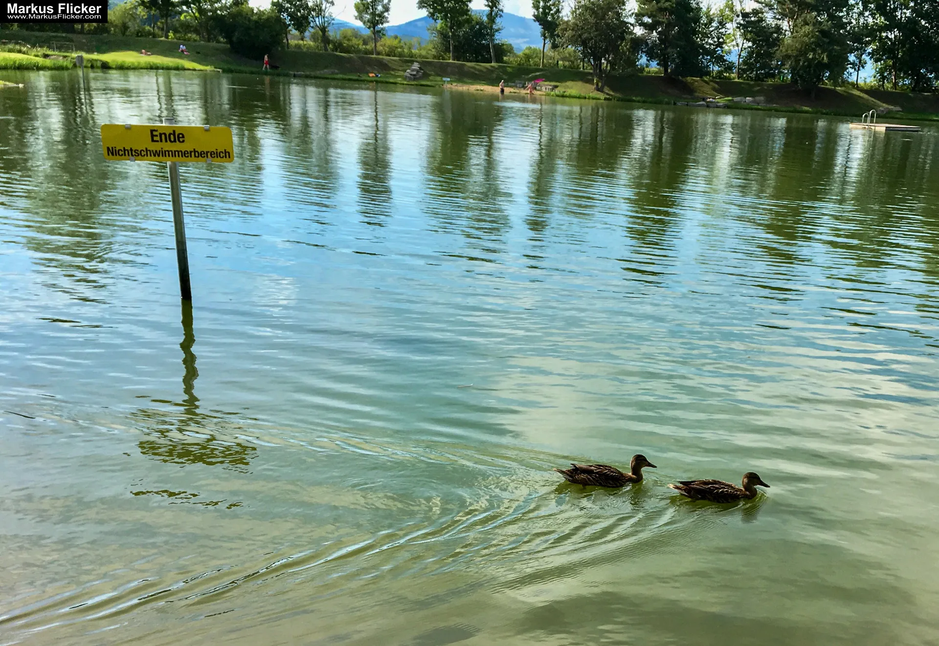 Freizeitzentrum Großsteinbach, Strandgut und Schachblume Steiermark Badesee