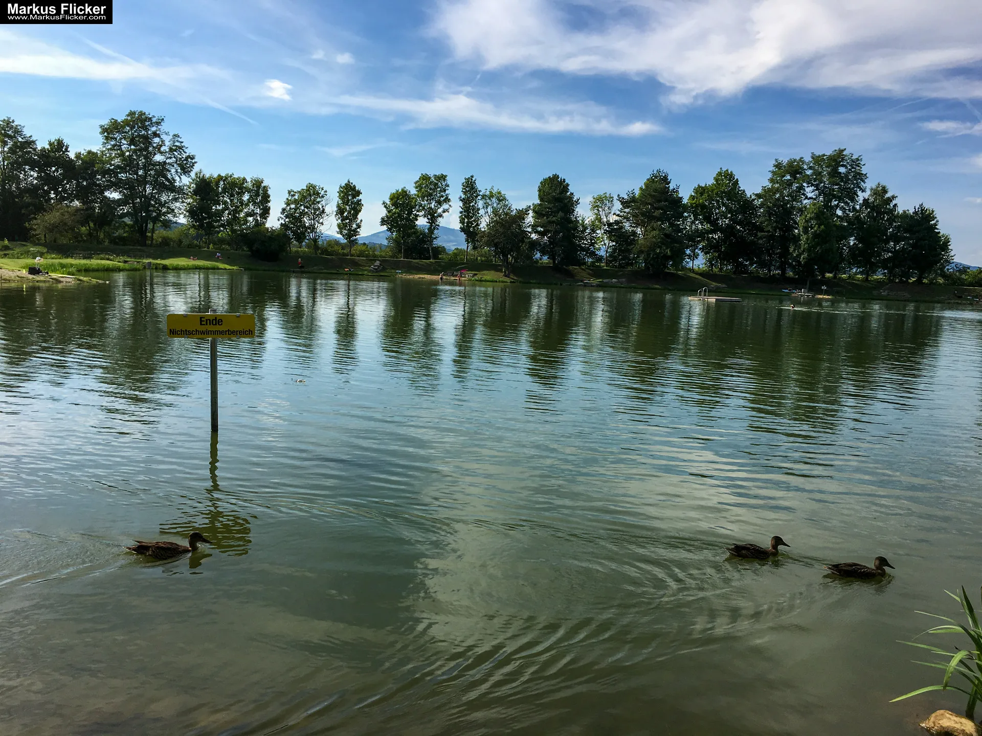 Freizeitzentrum Großsteinbach, Strandgut und Schachblume Steiermark Badesee