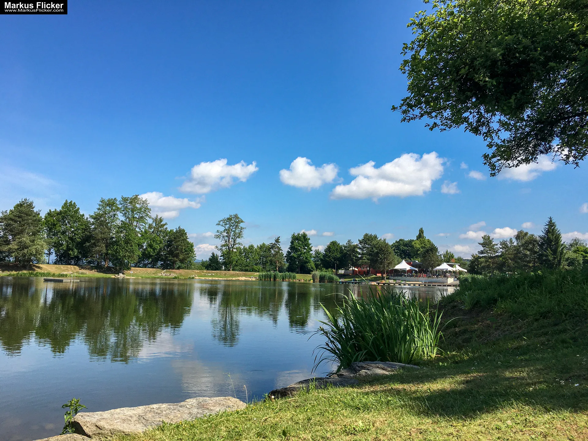 Freizeitzentrum Großsteinbach, Strandgut und Schachblume Steiermark Badesee