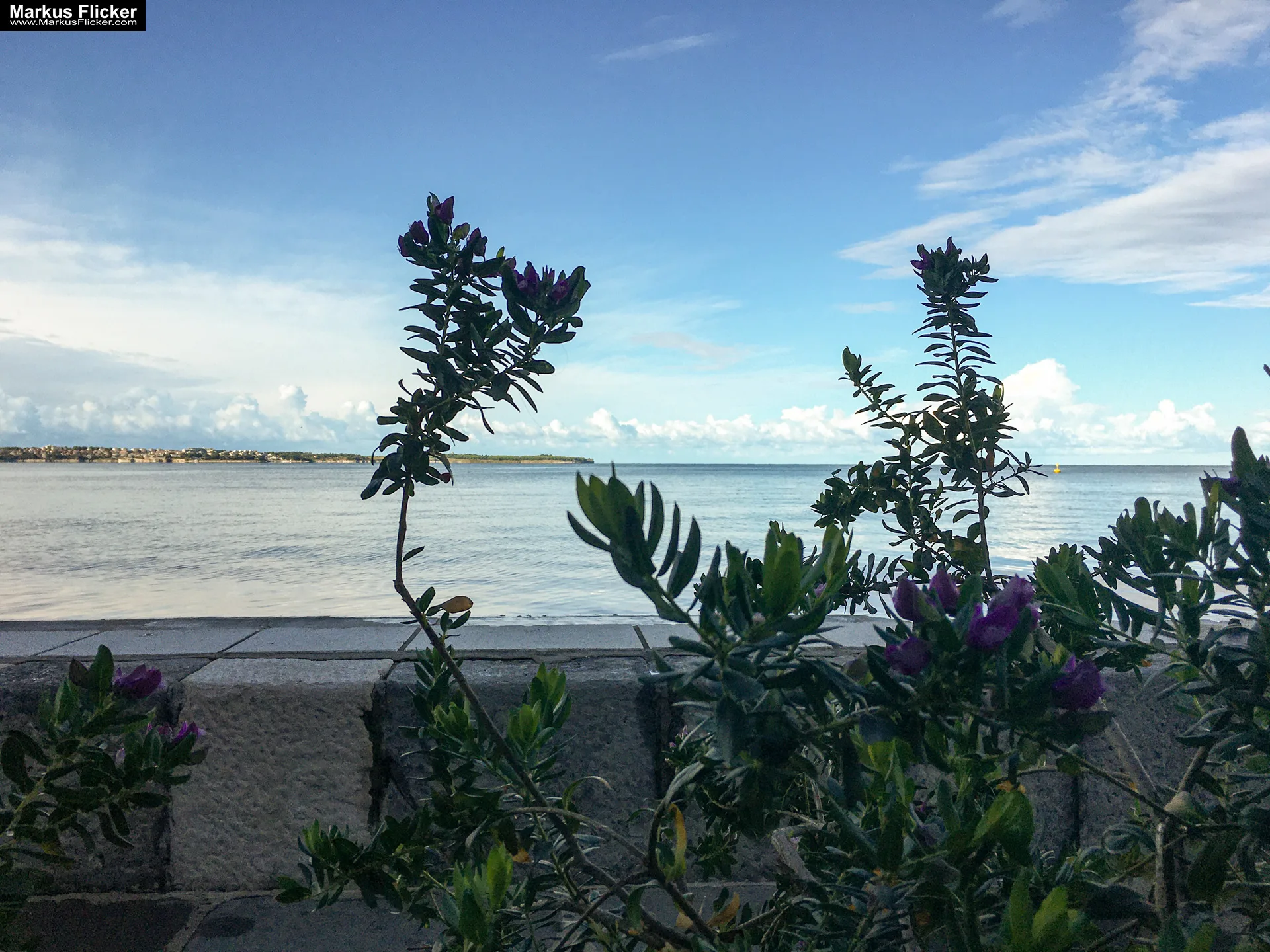 Piran am Meer in Slowenien an der Adria