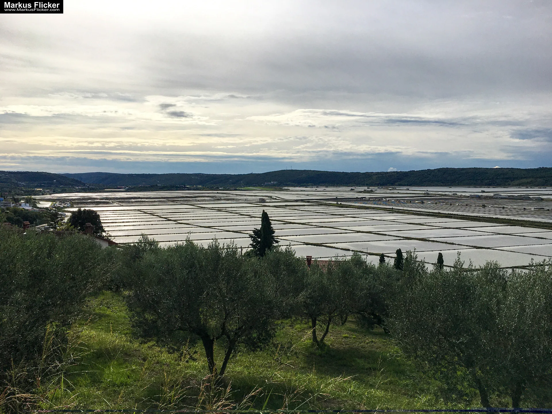 Piran am Meer in Slowenien an der Adria
