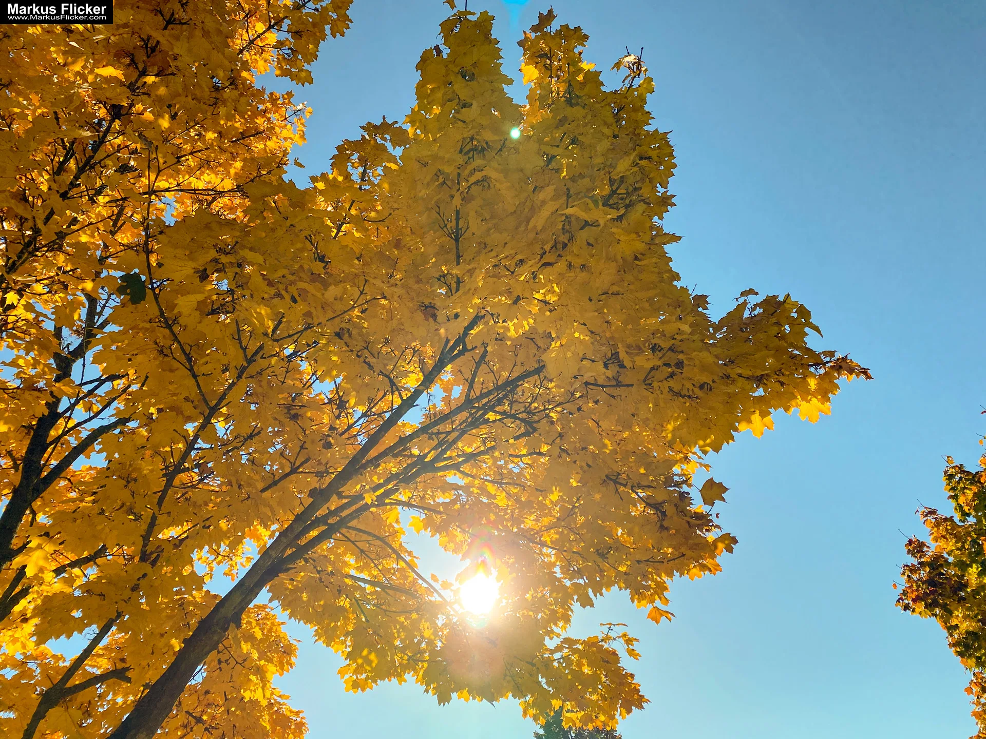 Fototipp Hinsetzen und Beobachten für Anfänger und Amateure