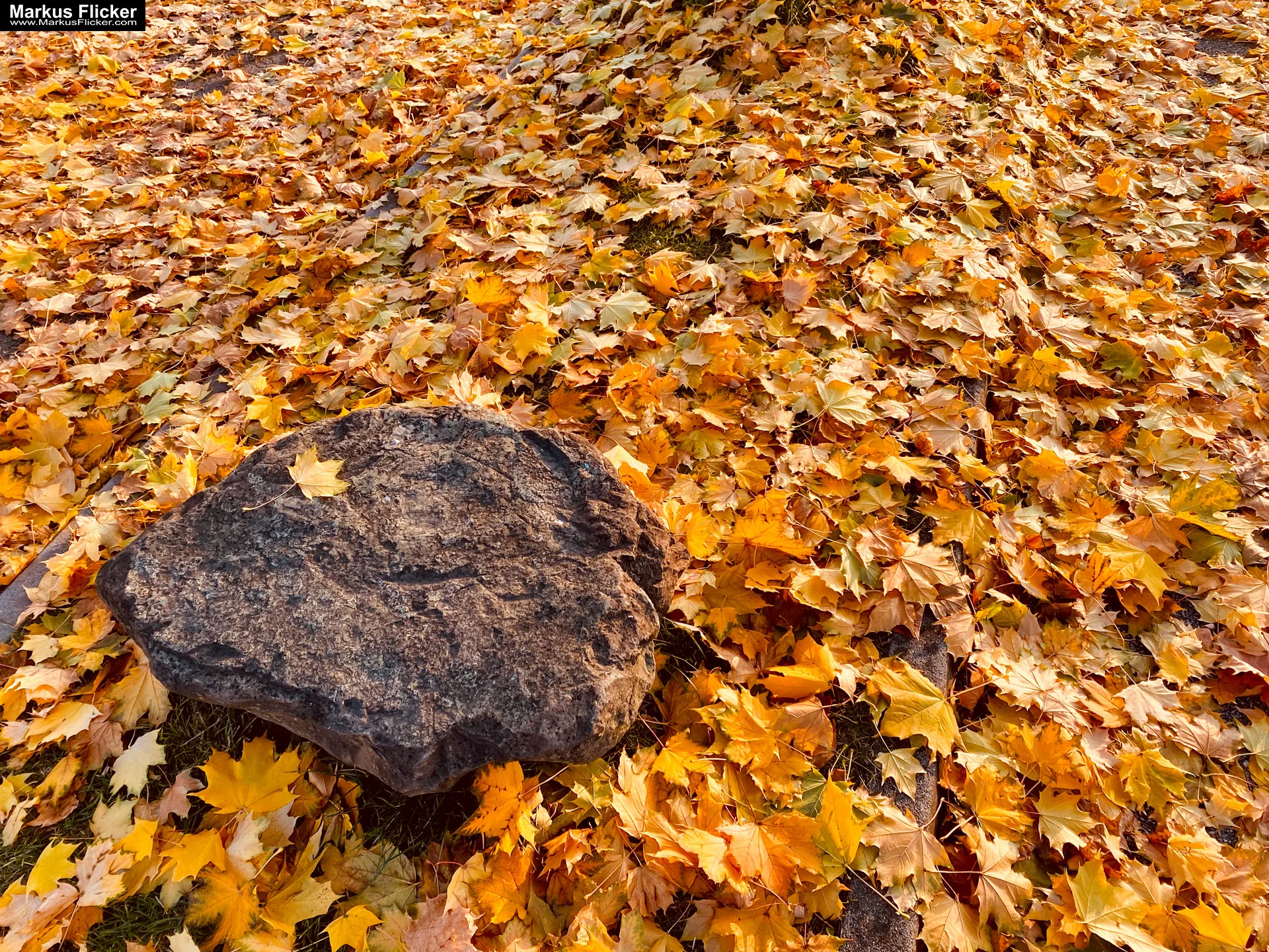 Fototipp Hinsetzen und Beobachten für Anfänger und Amateure