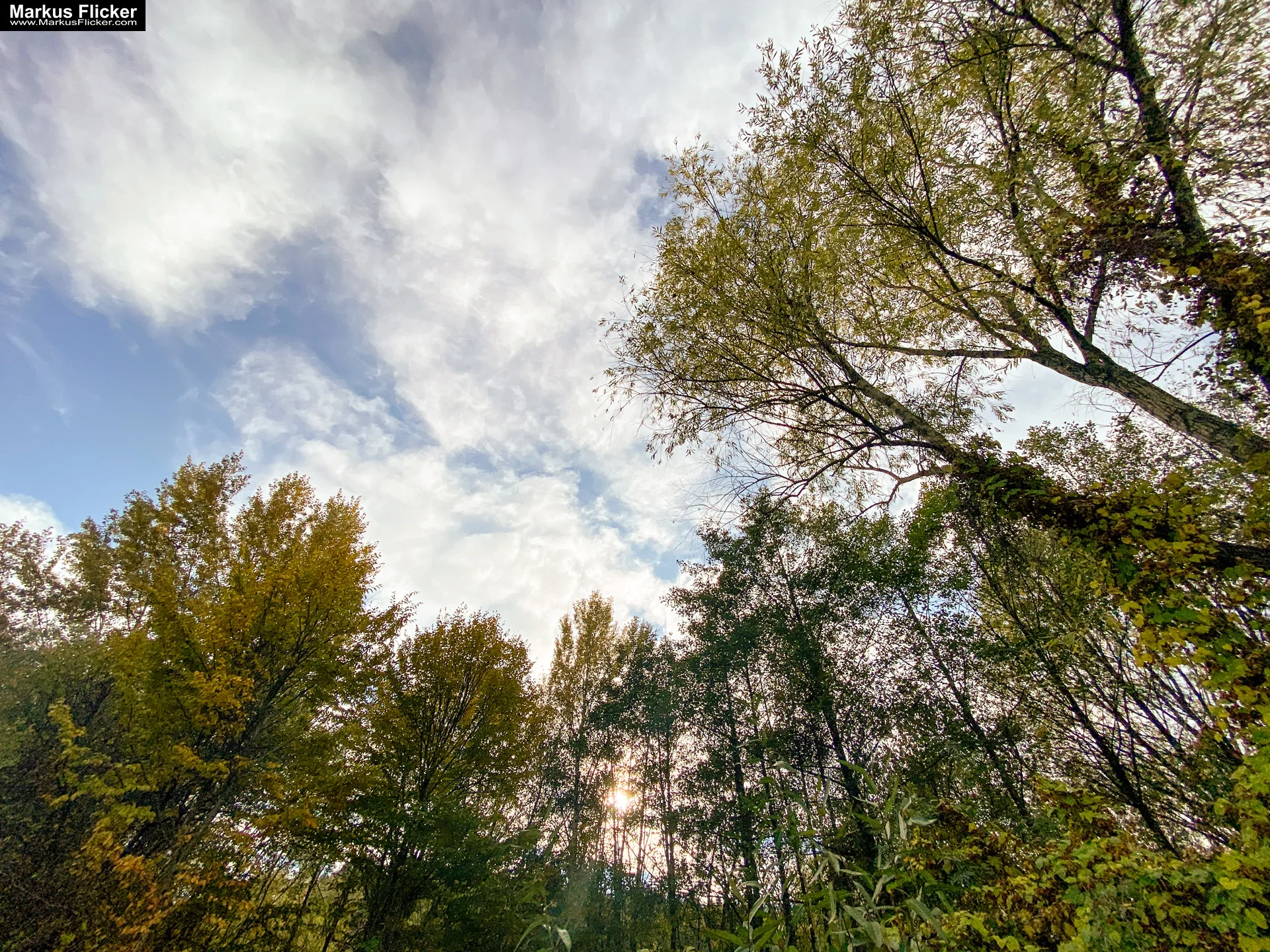 Fototipp Hinsetzen und Beobachten für Anfänger und Amateure