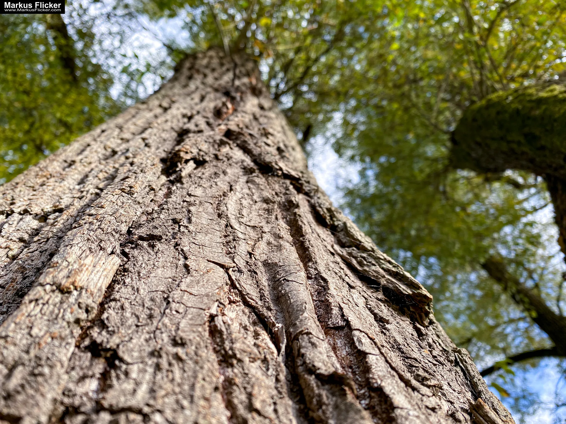 Fototipp Hinsetzen und Beobachten für Anfänger und Amateure