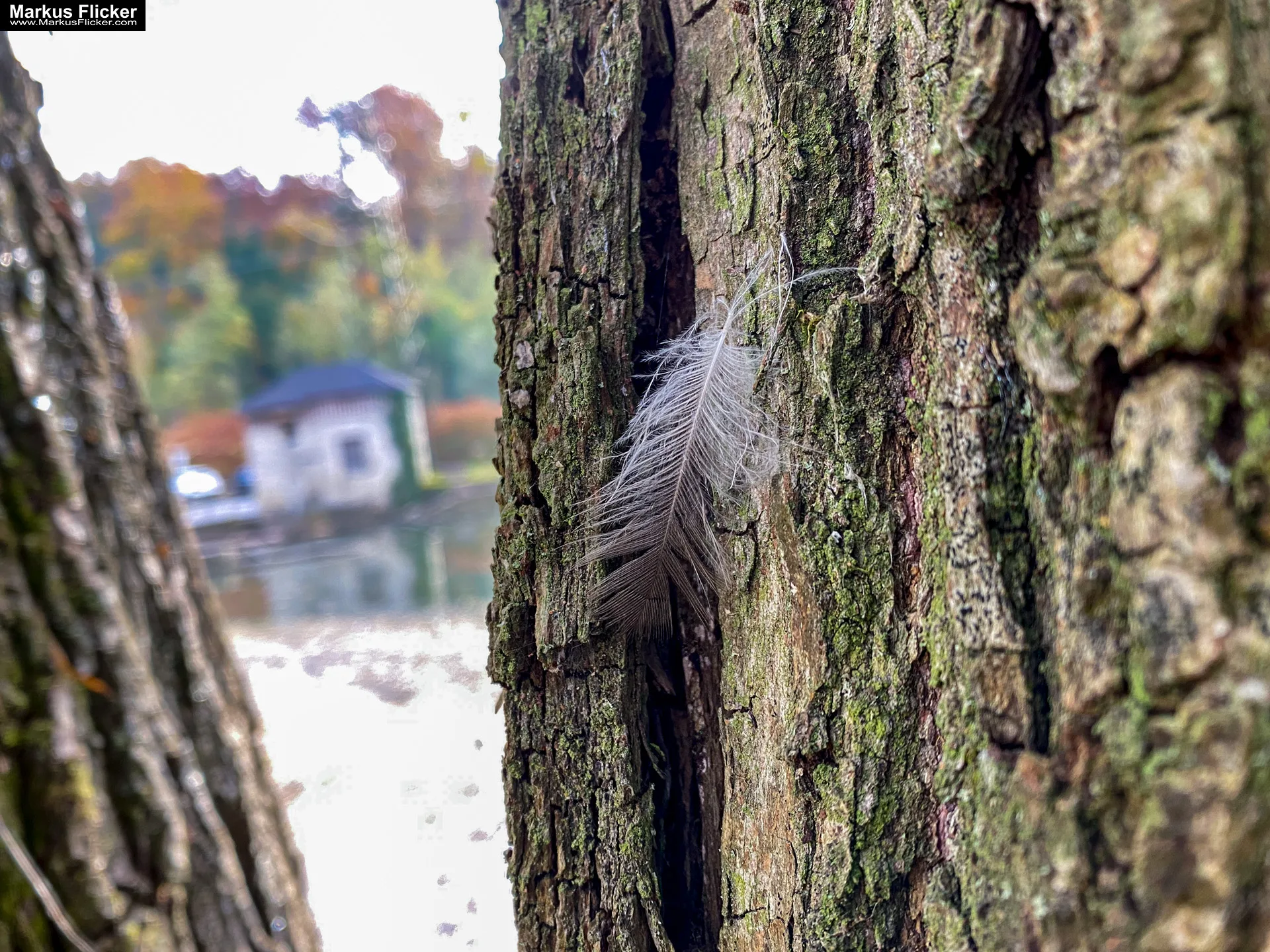 Fototipp Hinsetzen und Beobachten für Anfänger und Amateure