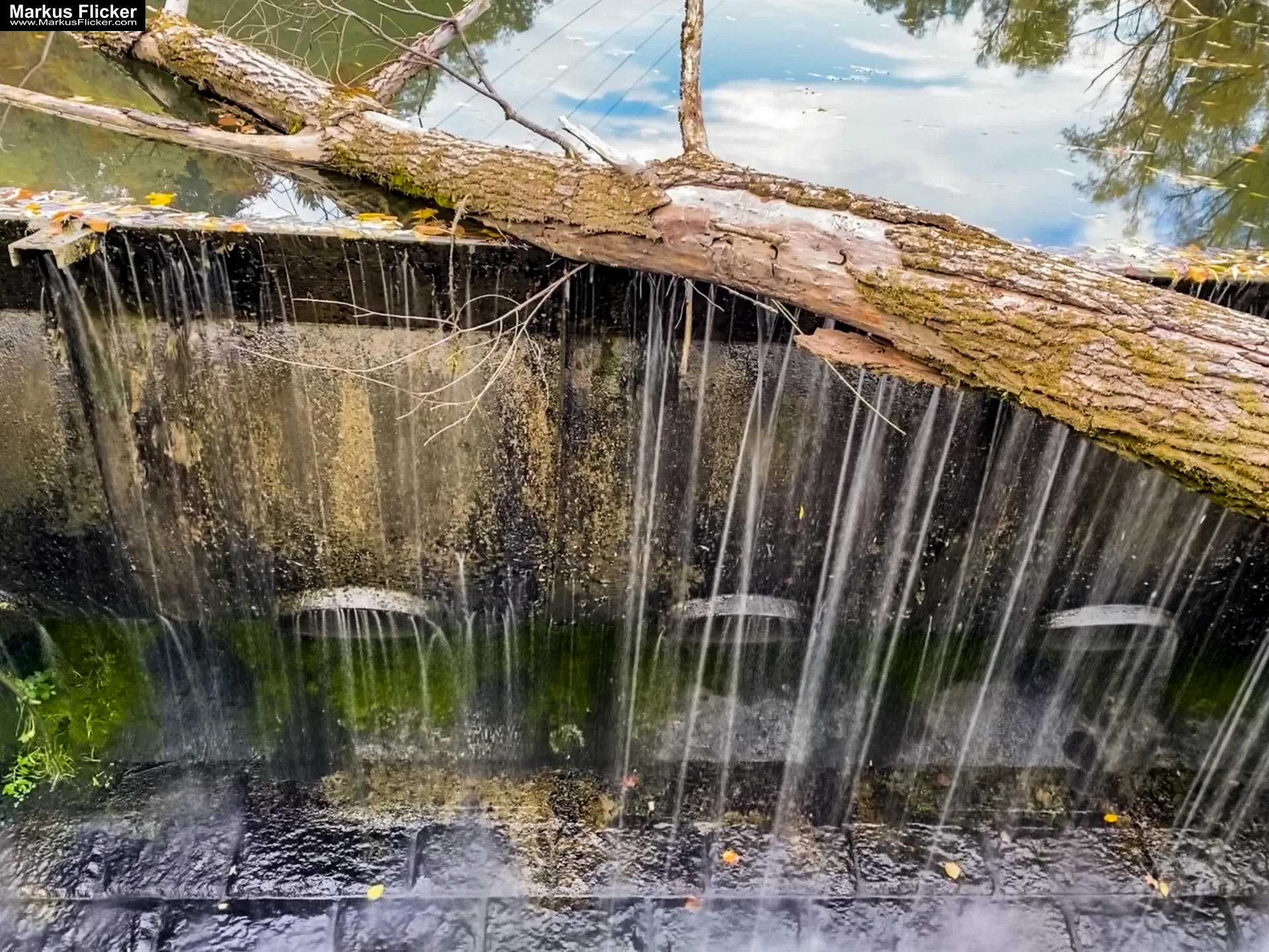 Fototipp Hinsetzen und Beobachten für Anfänger und Amateure