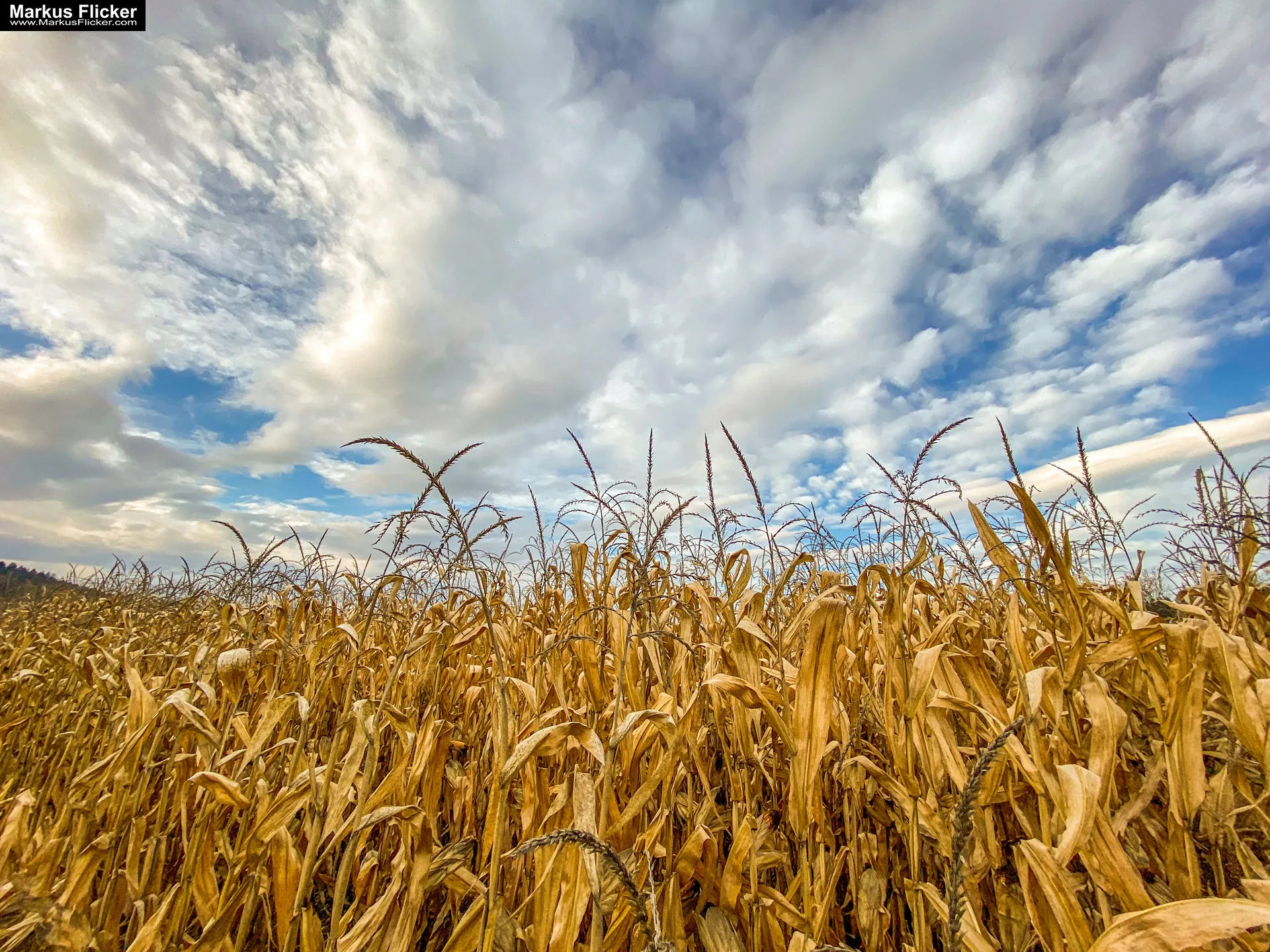 Fototipp Hinsetzen und Beobachten für Anfänger und Amateure