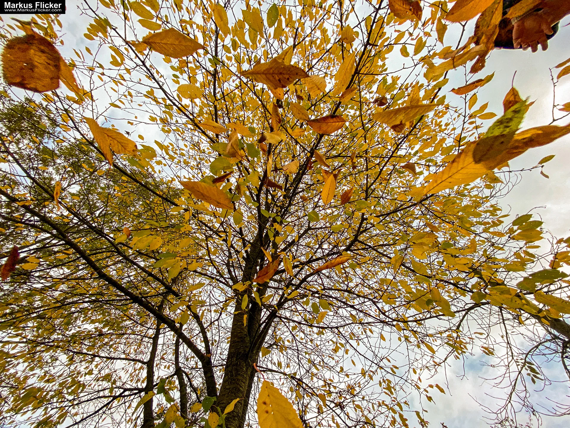 Fototipp: Hinsetzen und Beobachten! Fotografieren und Filmen mit dem Smartphone für Fotos und Videos: Smartphone-Fotografie: Profi-Tipps mit dem Handy für Freizeit, Hobby und Business