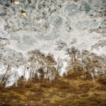Bäume im Fluss mit Spiegelung // Foto auf dem Smartphone bearbeitet // iOS iPhone