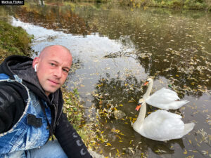 Fotografieren und Filmen von Schwänen am Fluss im Herbst mit der Kamera und dem Smartphone inkl. 8 Fototipps. Fotografieren und Filmen mit dem Smartphone: Bessere Fotos und Videos mit dem Handy für Freizeit, Hobby und Business