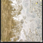 Bäume im Fluss mit Spiegelung // Foto auf dem Smartphone bearbeitet // iOS iPhone