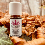 Produktfotos bei Herbst im Nebel CATALEYA Cannabis Naturkosmetik Die Welt der Kosmetik trifft auf Cannabis