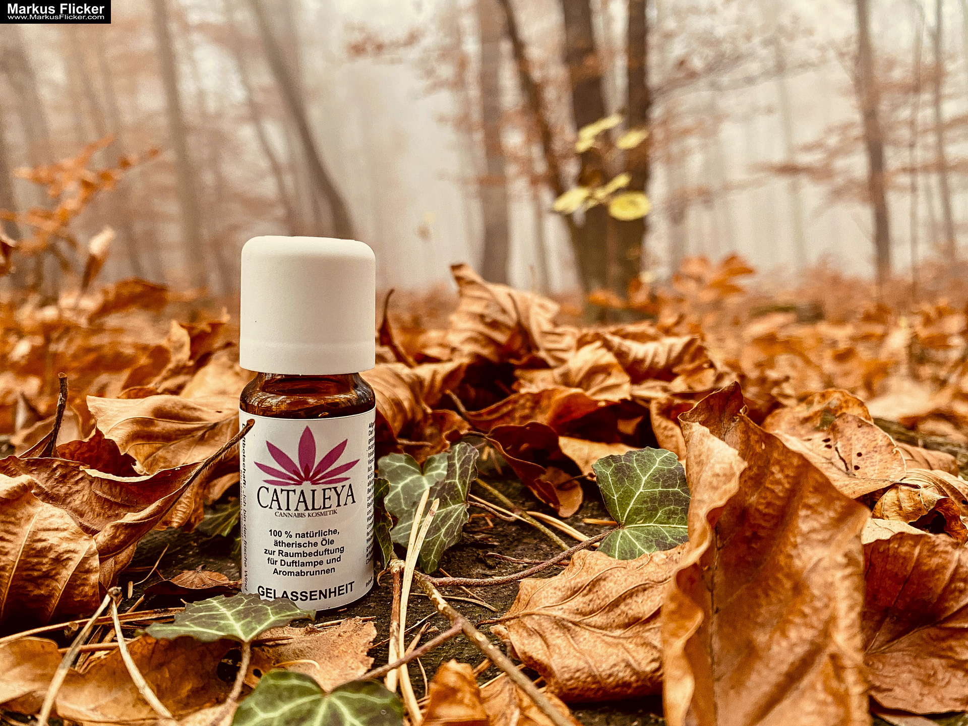 Produktfotos bei Herbst im Nebel CATALEYA Naturkosmetik Die Welt der Kosmetik trifft auf Cannabis