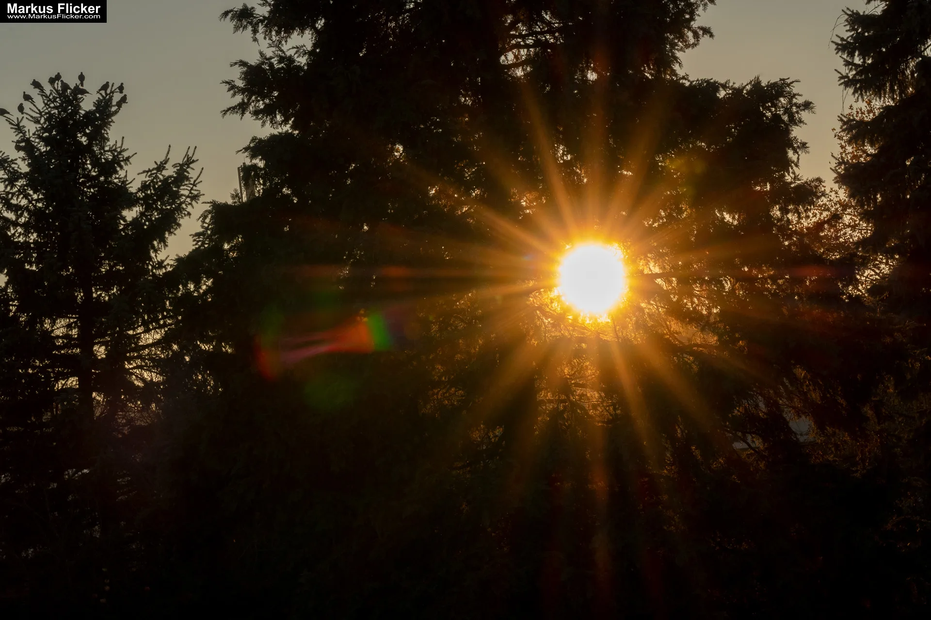 Fotospaziergang im Herbst bei Sonnenuntergang und Objektivtest Tamron 35-150mm F 2.8-5 Di VC OSD