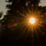 Fotospaziergang im Herbst bei Sonnenuntergang und Objektivtest Tamron 35-150mm F 2.8-5 Di VC OSD