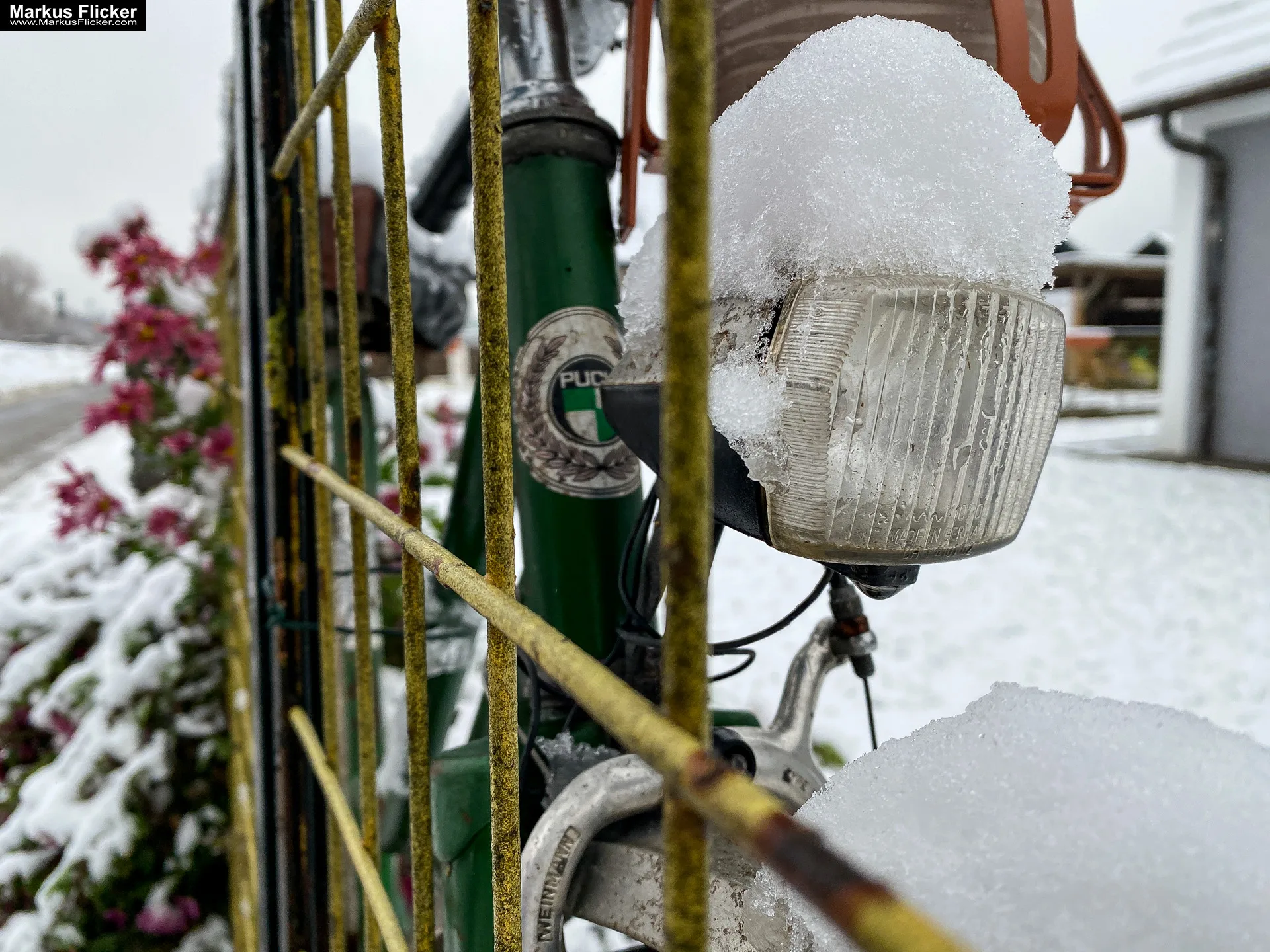 Fotografie Winterstart Steiermark Österreich Fotografieren im Winter Landschaft und Natur