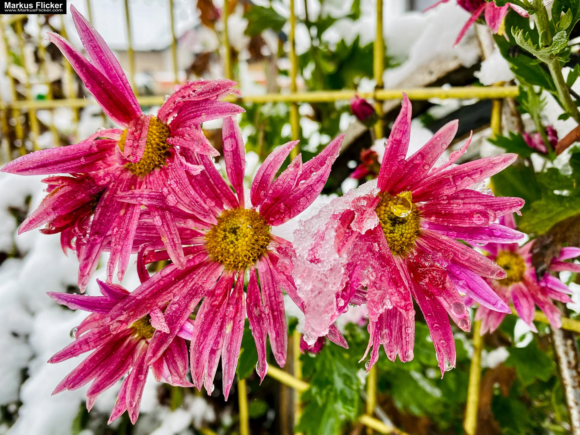 Fotografie Winterstart Steiermark Österreich Fotografieren im Winter Landschaft und Natur