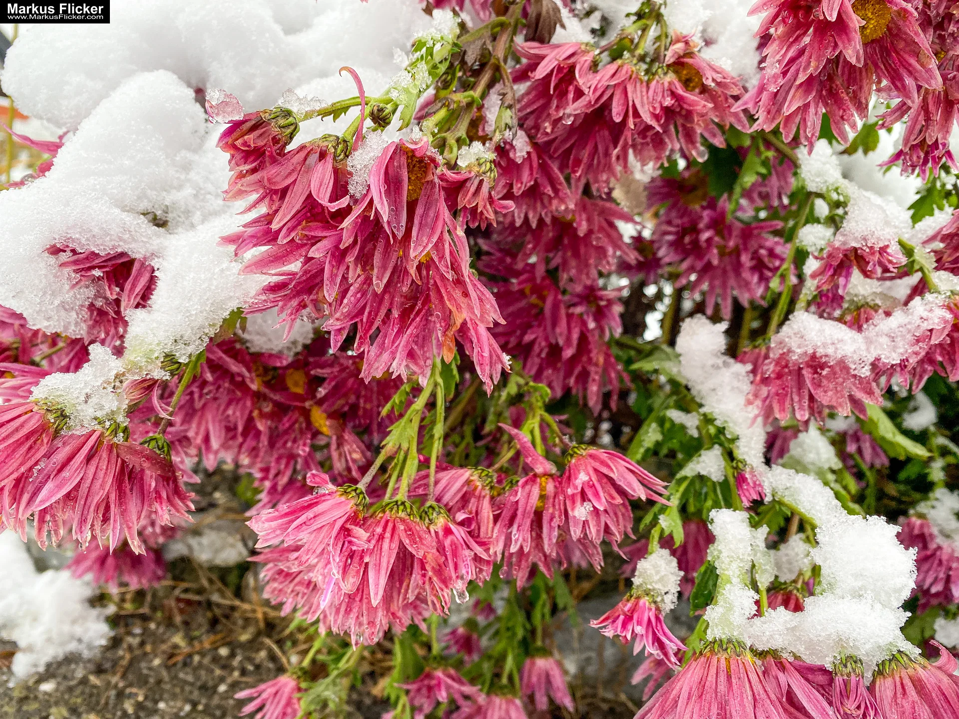 Fotografie Winterstart Steiermark Österreich Fotografieren im Winter Landschaft und Natur