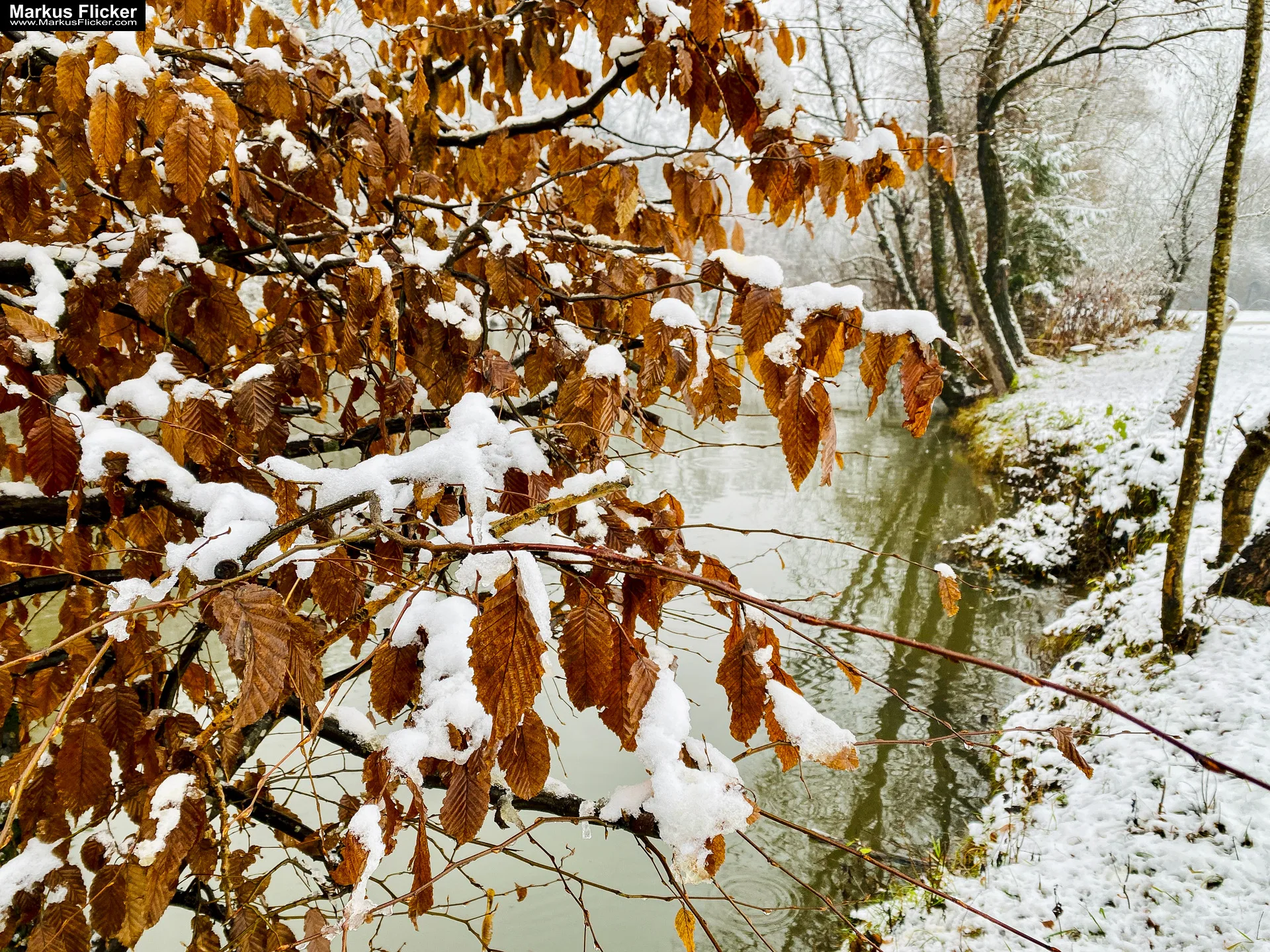 Fotografie Winterstart Steiermark Österreich Fotografieren im Winter Landschaft und Natur