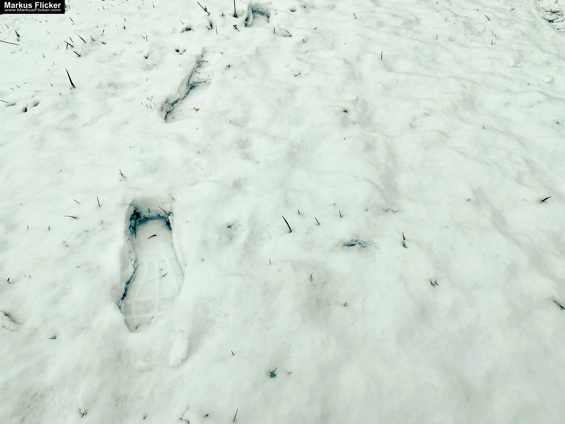 Fotografie Winterstart Steiermark Österreich Fotografieren im Winter Landschaft und Natur