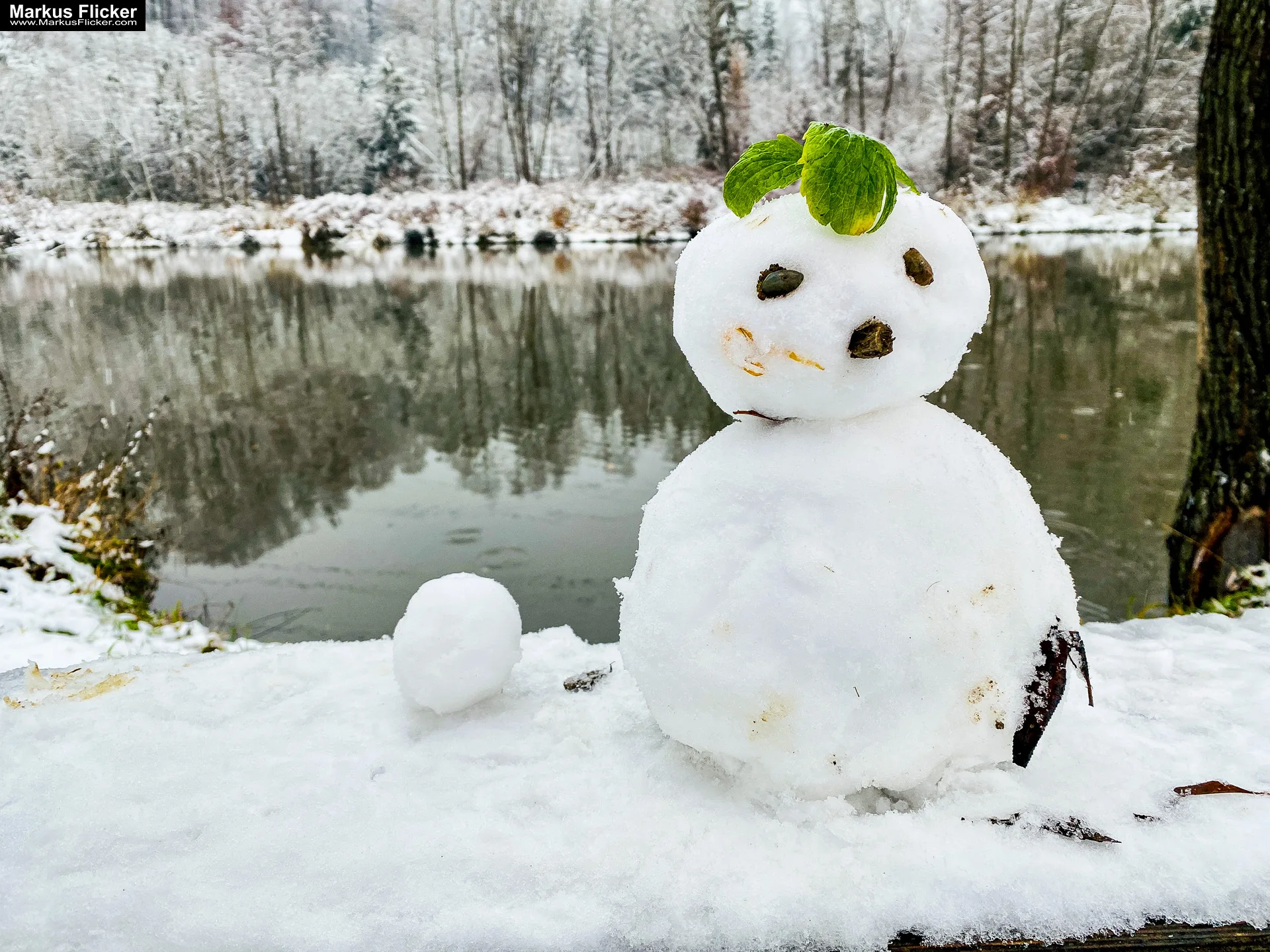 Fotografie Winterstart Steiermark Österreich Fotografieren im Winter Landschaft und Natur