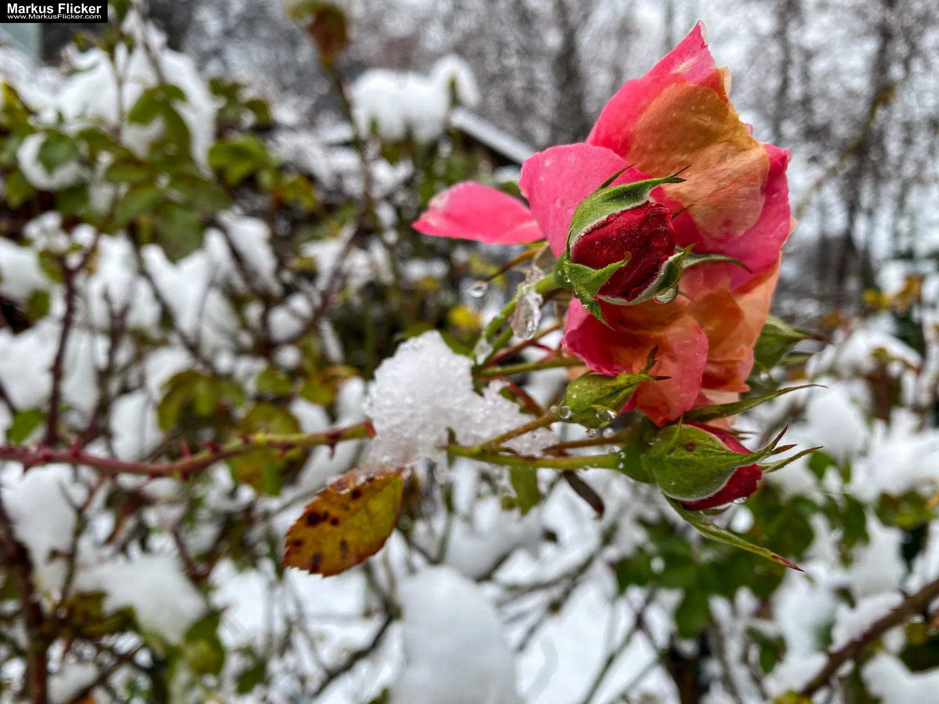 Fotografie Winterstart Steiermark Österreich Fotografieren im Winter Landschaft und Natur