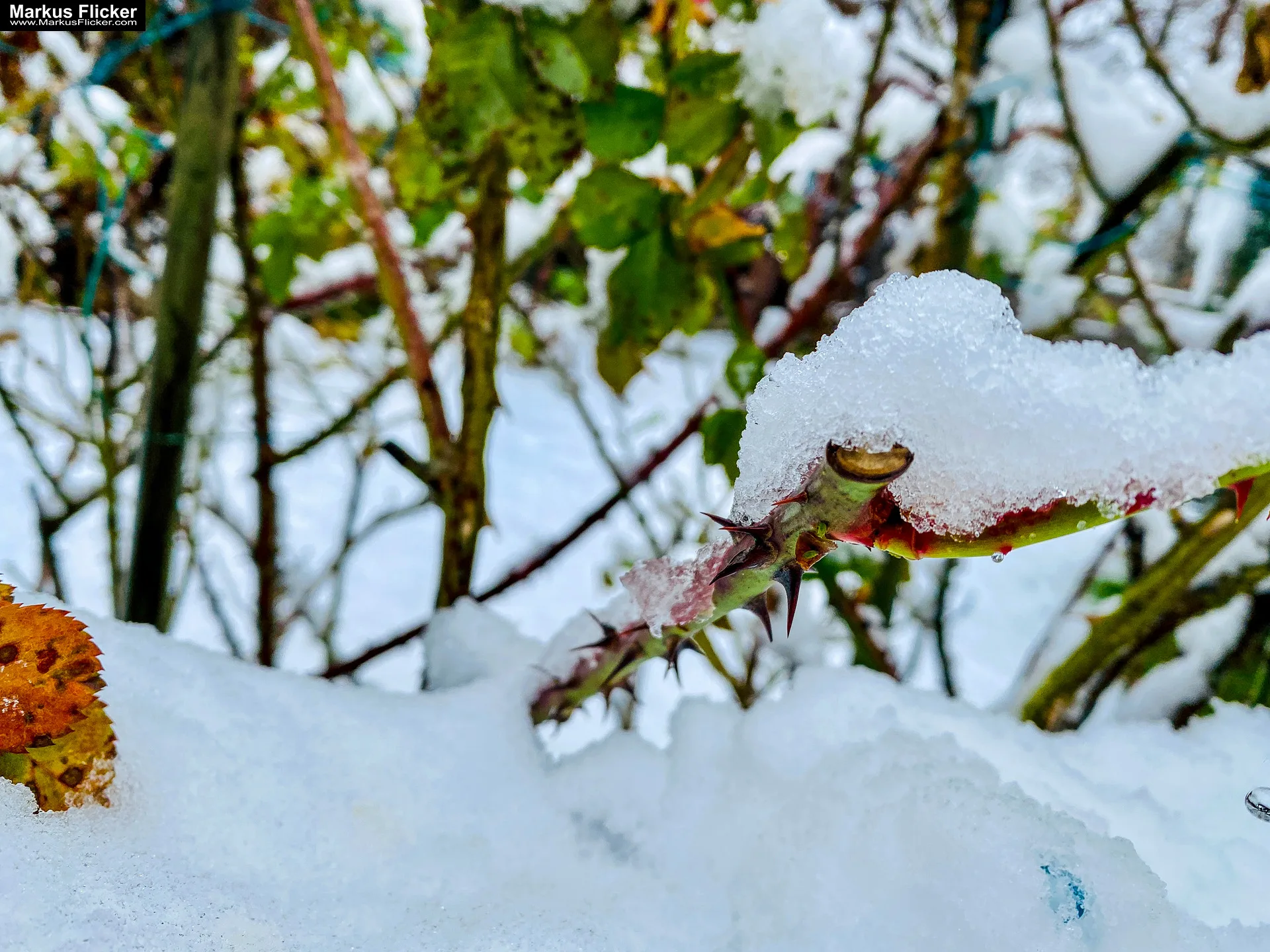 Fotografie Winterstart Steiermark Österreich Fotografieren im Winter Landschaft und Natur