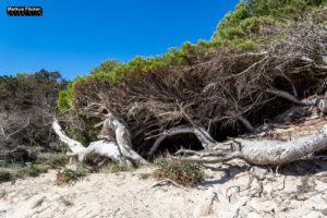 aCala Agulla und Cala Molto auf Mallorca in Spanien