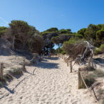 Cala Agulla und Cala Molto auf Mallorca in Spanien