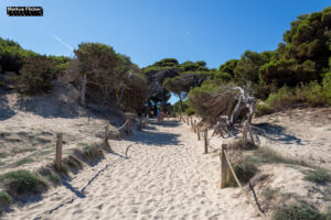 Cala Agulla und Cala Molto auf Mallorca in Spanien
