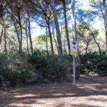 Cala Agulla und Cala Molto auf Mallorca in Spanien