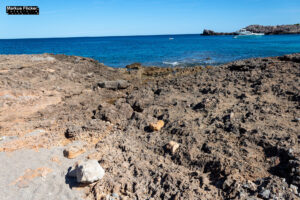 Cala Agulla und Cala Molto auf Mallorca in Spanien